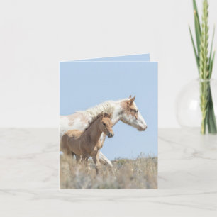 Carte de voeux Galetea et Foal Wild Horse