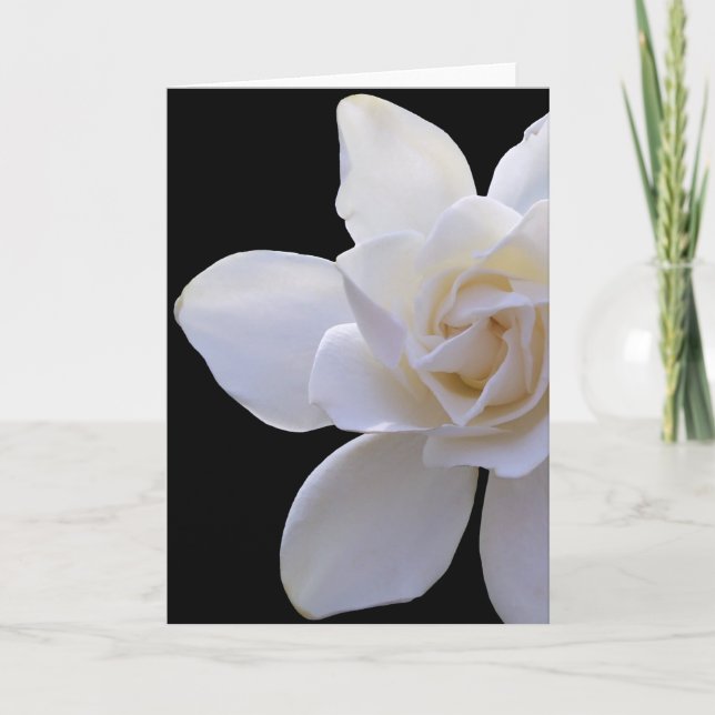 Carte de voeux - Gardenia en noir (Devant)