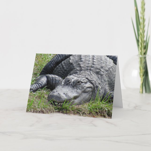Carte de voeux Gator (Devant)
