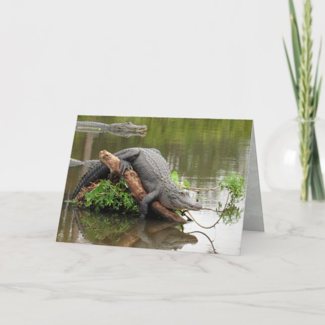 Carte de voeux Gator 0076 (Devant)