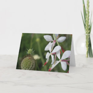Carte de voeux Gaura Floral Photography