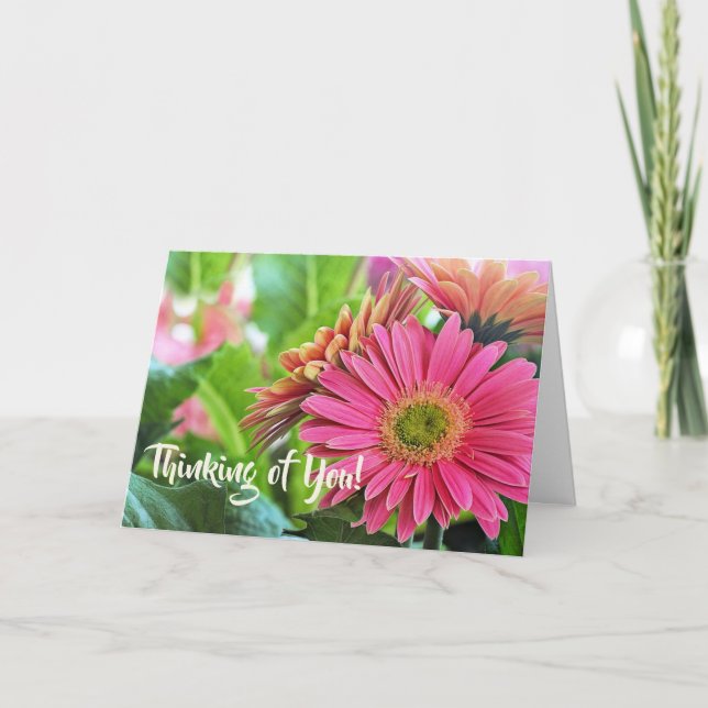 Carte de voeux Gerbera Daisies (Devant)