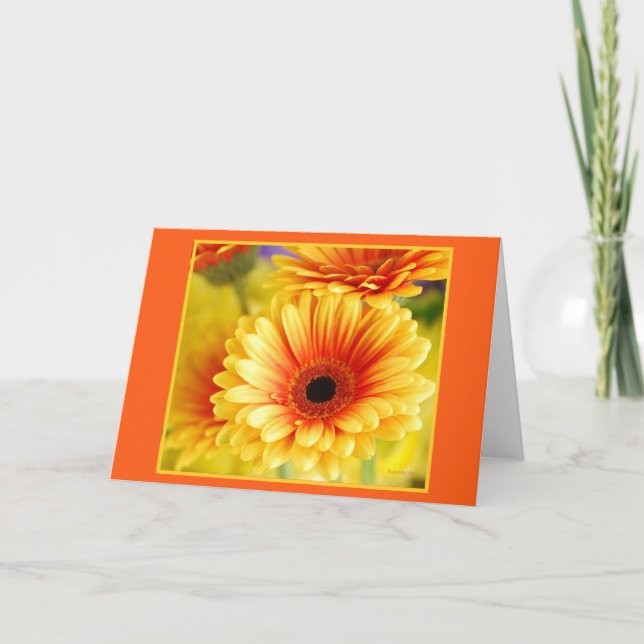 Carte de voeux Gerbera Daisy (Devant)