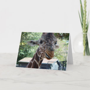 Carte de vœux girafe intérieur vierge