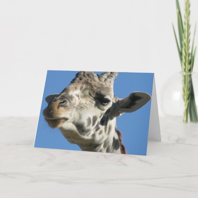 Carte de voeux Giraffe (Devant)