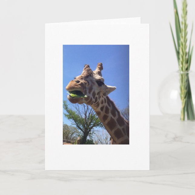 Carte de voeux Giraffe (Devant)
