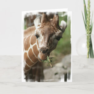 Carte de voeux Giraffe Snack