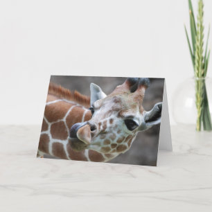 Carte de voeux Giraffe Tongue