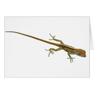 Carte de voeux Gold Lizard