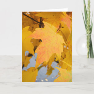 Carte de voeux Golden Light