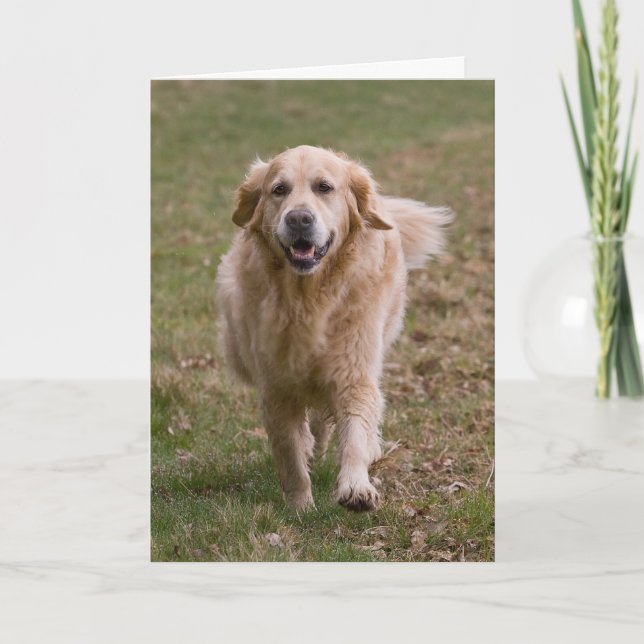 Carte de voeux Golden Retriever (Devant)