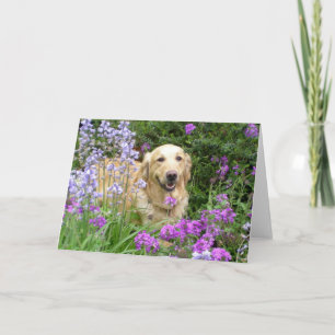 Carte de voeux Golden Retriever en fleurs