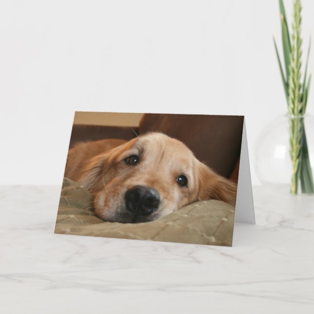 Carte de voeux Golden Retriever Miss You (Devant)