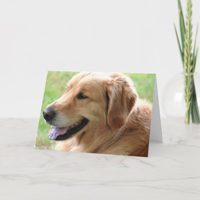Carte de voeux Golden Retriever Pup (Devant)
