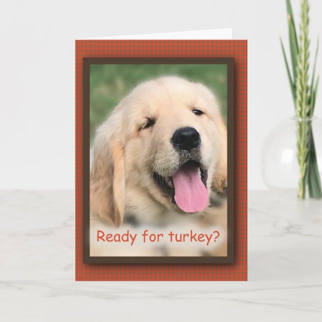 Carte de voeux Golden Retriever Thanksgiving Turke (Devant)
