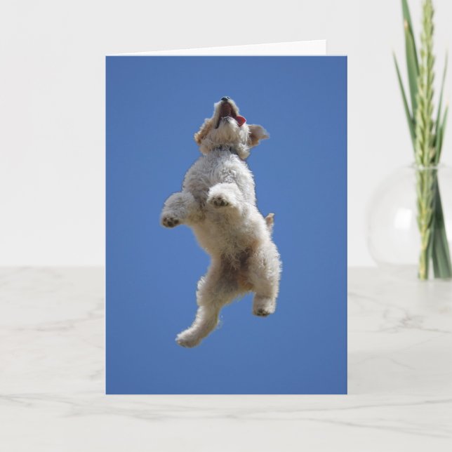 Carte de voeux Goldendoodle Jumping (Devant)