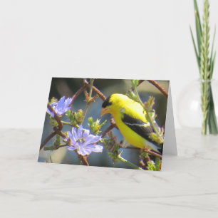 Carte de voeux Goldfinch