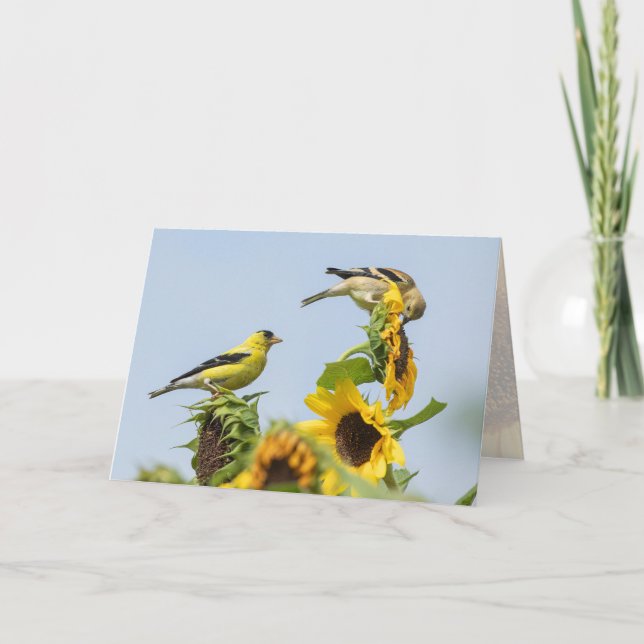 Carte de voeux Goldfinches et Sunflower (Devant)