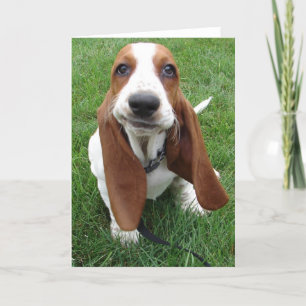 Carte de voeux Goofy Basset Hound
