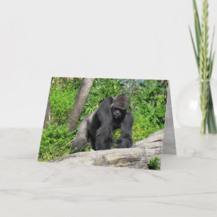 Carte de voeux Gorilla (0536)