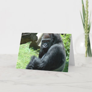 Carte de voeux Gorilla Glare