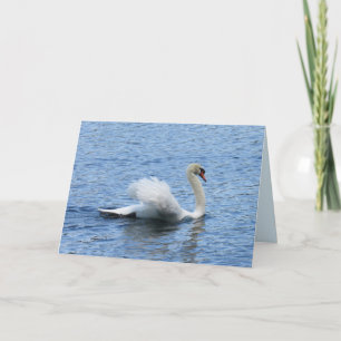 Carte de voeux Graceful Swan Photo