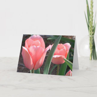 Carte de voeux Graceful Tulips