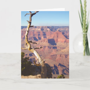 Carte de voeux Grand Canyon South Rim