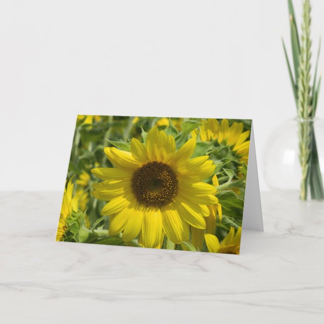 Carte de vœux Grande Tournesol (Devant)