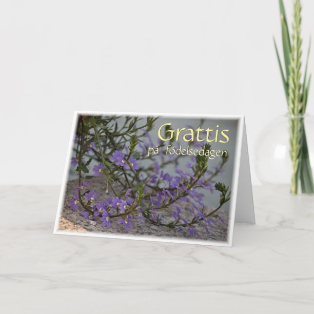 Carte de voeux Grattis på födelsedagen CC0513 (Devant)