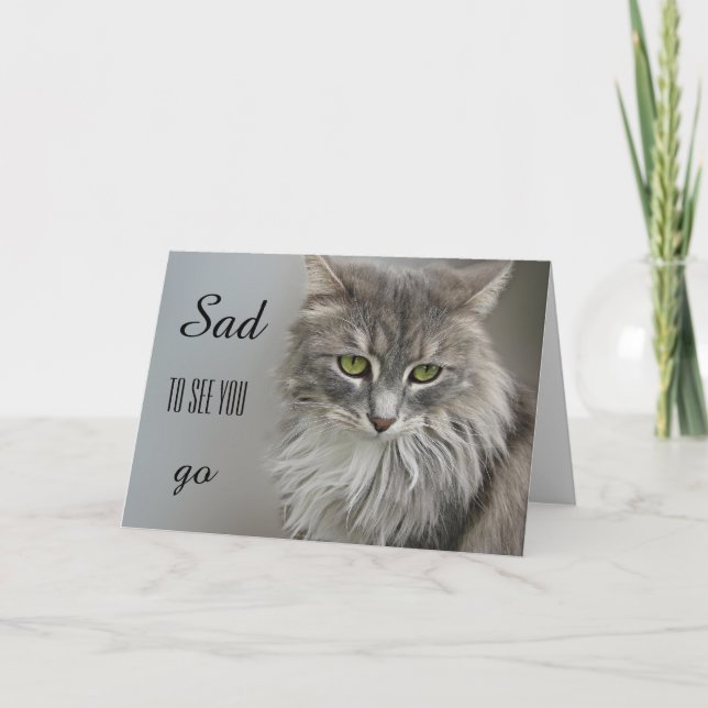 Carte de voeux Gray Cat Sympathy (Devant)