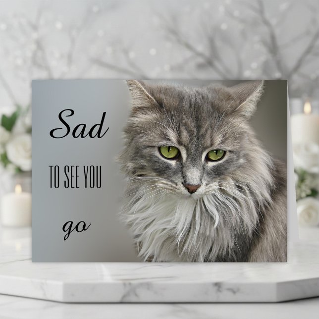 Carte de voeux Gray Cat Sympathy (A beautiful cat sympathy card to express your compassion for the loss of a sweet kitty)