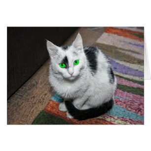 Carte de voeux Green Eyed Cat
