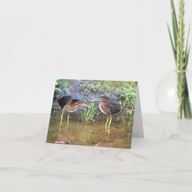 Carte de voeux Green Herons Friendship (Devant)