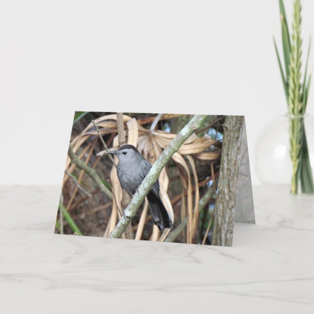 Carte de voeux Grey Catbird (Devant)
