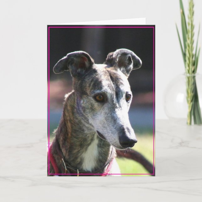 Carte de voeux Greyhound (Devant)