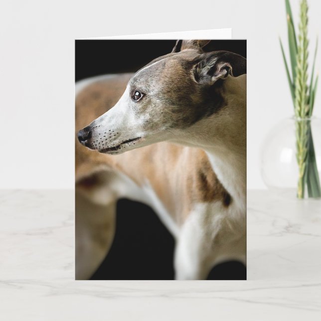 Carte de voeux Greyhound Dog (Devant)