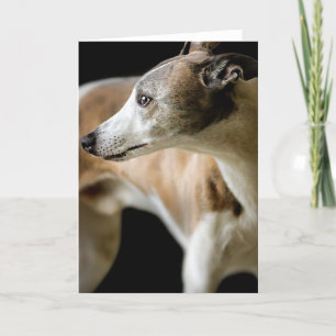 Carte de voeux Greyhound Dog