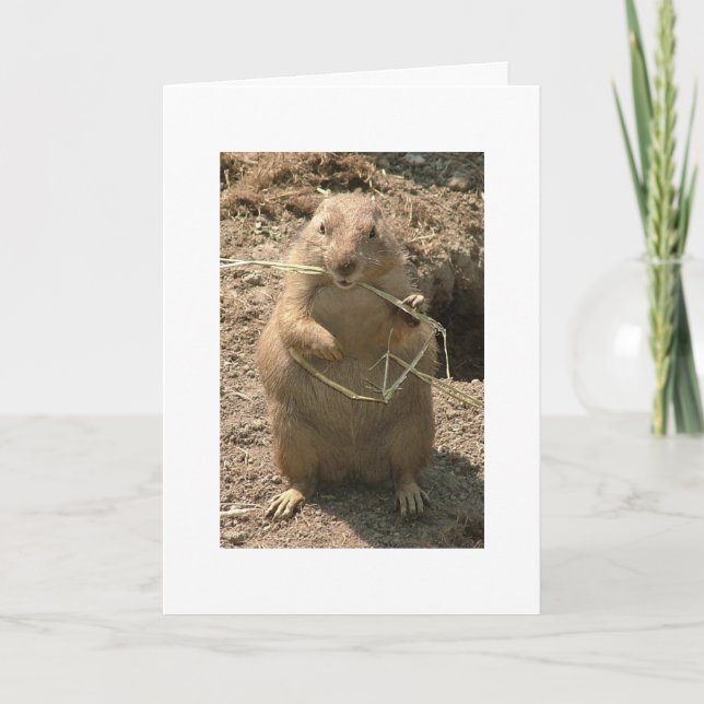 Carte de voeux Grinning Groundhog (Devant)