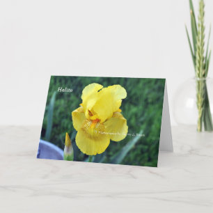 Carte de voeux "Halito" Choctaw Iris