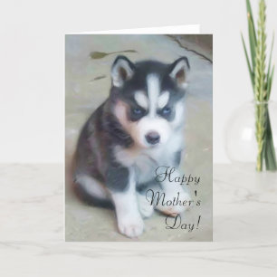 Carte de voeux Happy Mother's Day Husky