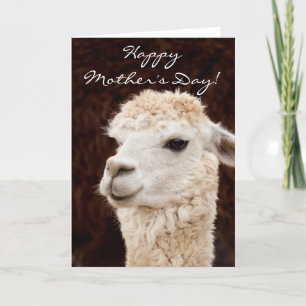 Carte de voeux Happy Mother's Day llama