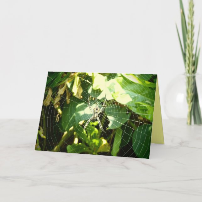 Carte de voeux Hawaii spider web (Devant)