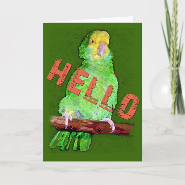 Carte de voeux HELLO Parrot (Devant)