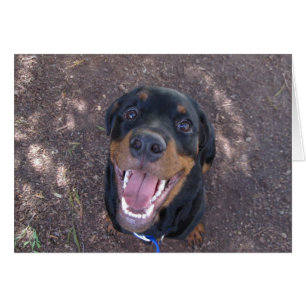 Carte de voeux heureuse de blanc de rottweiler de