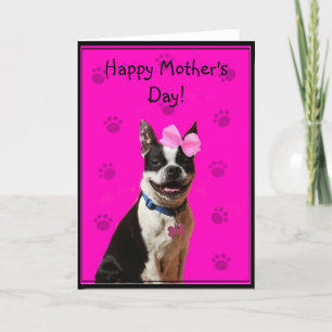 Carte de voeux heureuse de Boston Terrier du jour