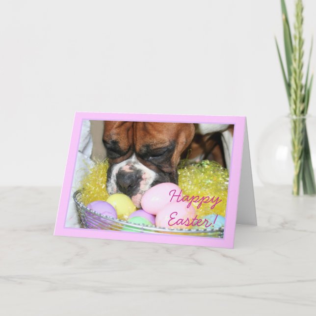 Carte de voeux heureuse de boxeur de Pâques (Devant)