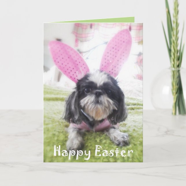 Carte de voeux heureuse de lapin de Pâques Shitzu (Devant)