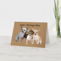 Carte de voeux heureuse de trio de chiwawa