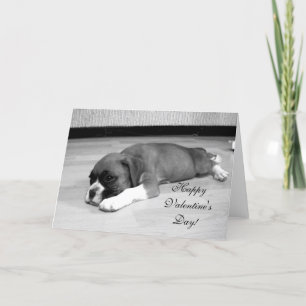 Carte de voeux Heureuse Sainte-Valentin Boxer Chie